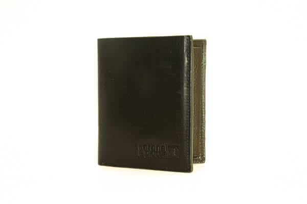 CARTERA CORONEL TAPIOCA