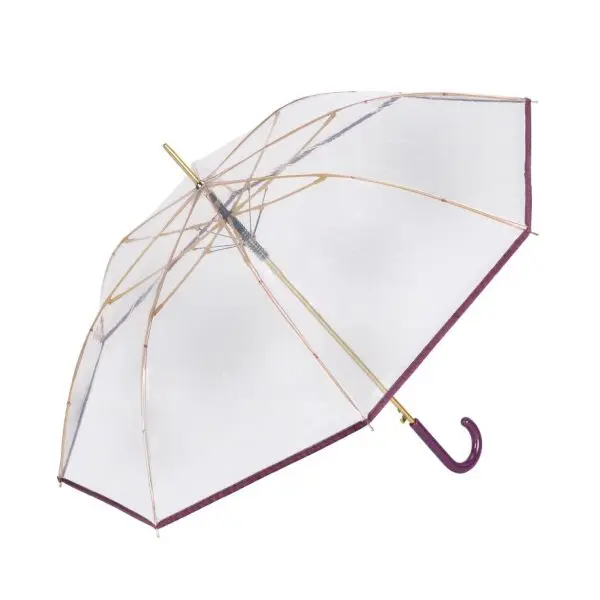 Paraguas CACHAREL · Largo Automático · Transparente · Largo 86cm - VIOLETA